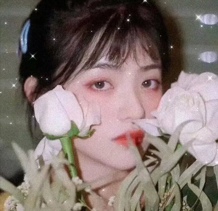 永不妥协