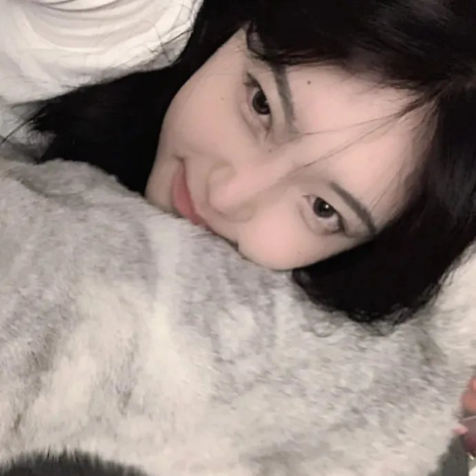 君有云